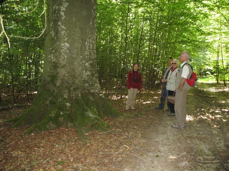 Myco Porte Baudet 01